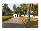  Lands For Sale In WELIWERIYA